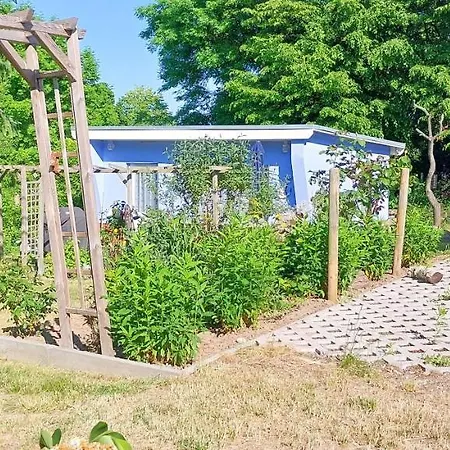 Koje