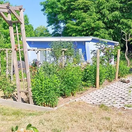 Koje