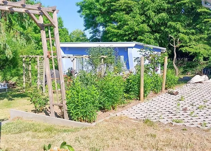 Koje